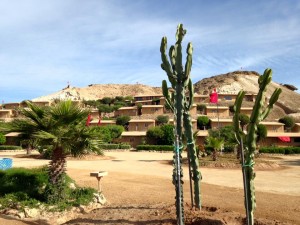 12208654_164058290610647_7235294617705326465_n