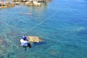 13336146_898346560316464_6200277667201249609_n